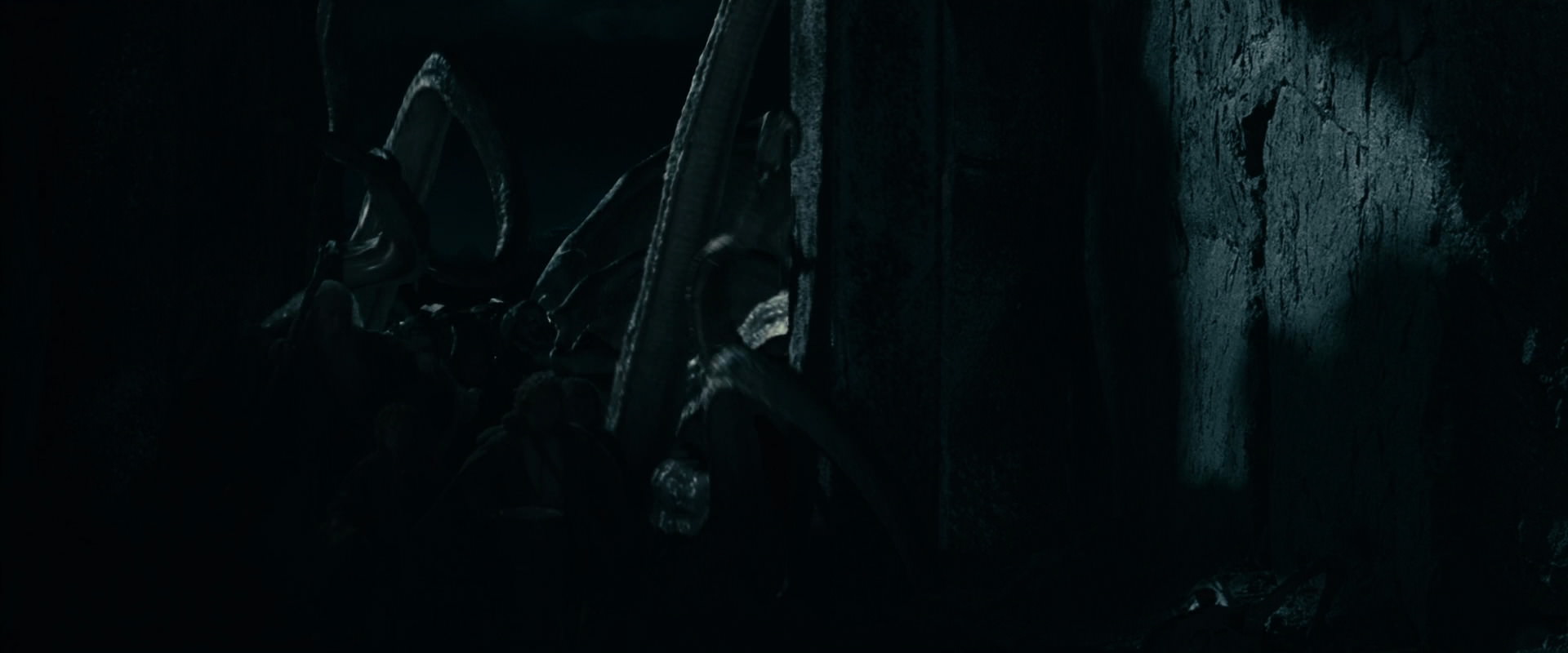 The Lord of the Rings: The Fellowship of the Ring (2001) screencap 14613
