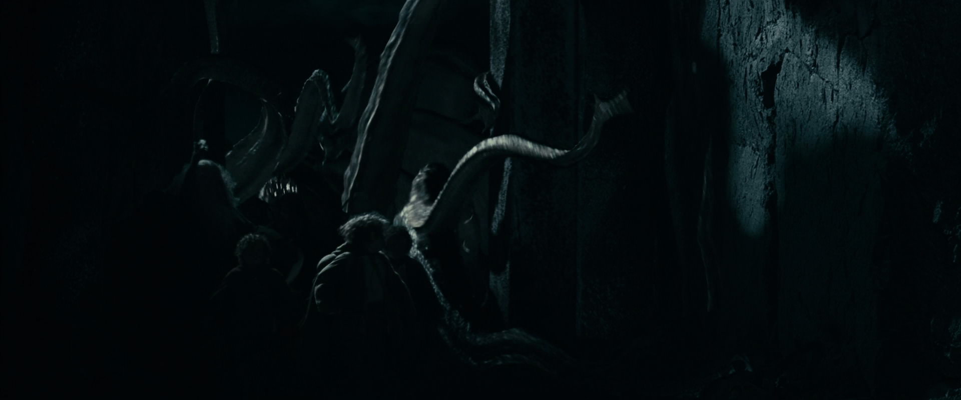 The Lord of the Rings: The Fellowship of the Ring (2001) movie still 14614