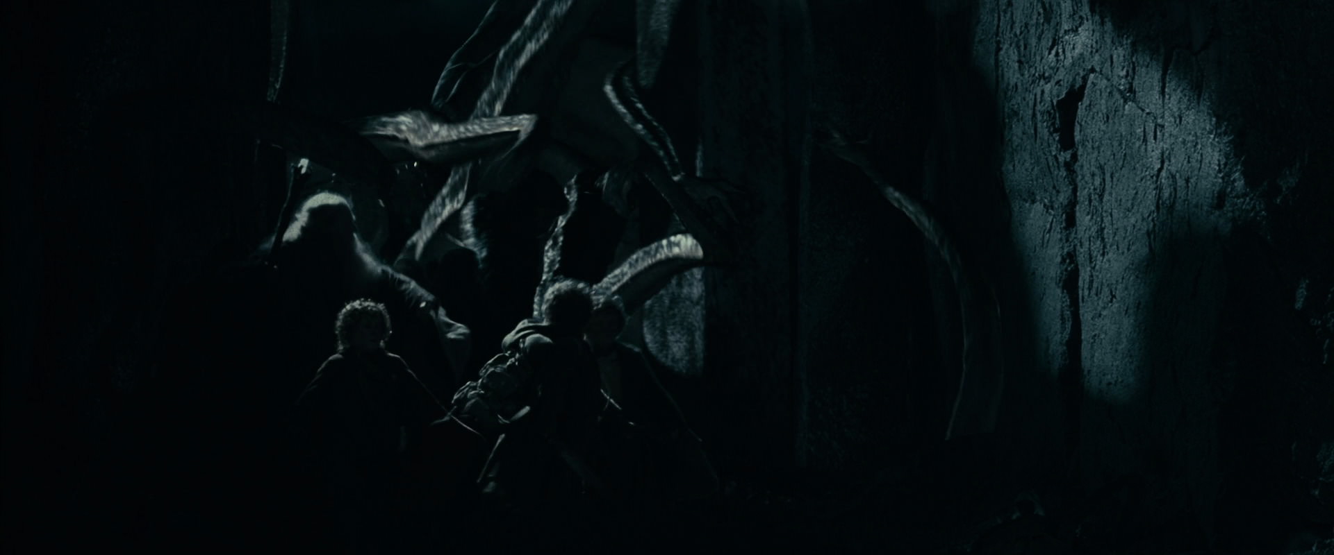 The Lord of the Rings: The Fellowship of the Ring (2001) HD screenshot 14615