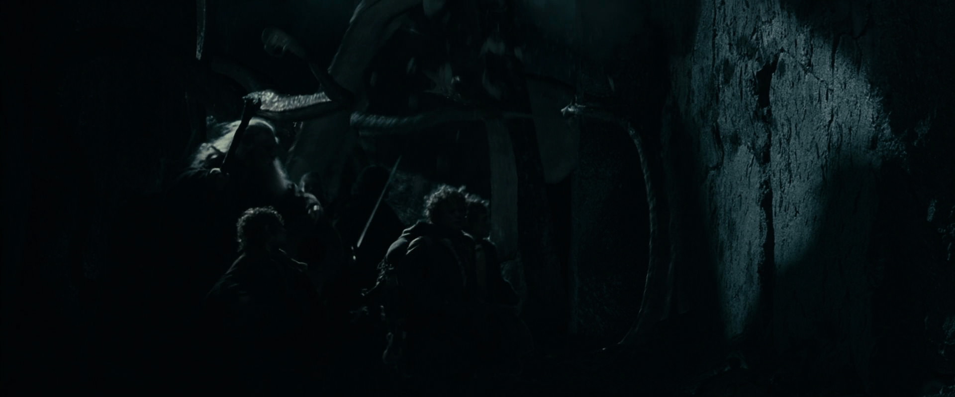 The Lord of the Rings: The Fellowship of the Ring (2001) screencap 14616