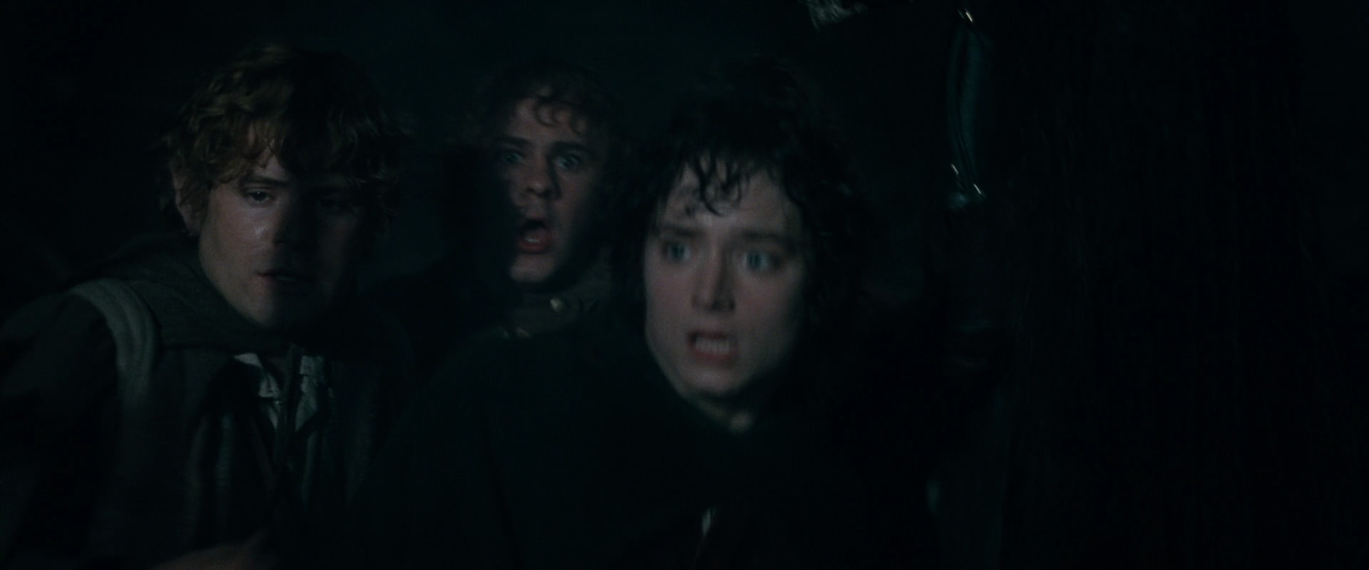 The Lord of the Rings: The Fellowship of the Ring (2001) HD screenshot 14627