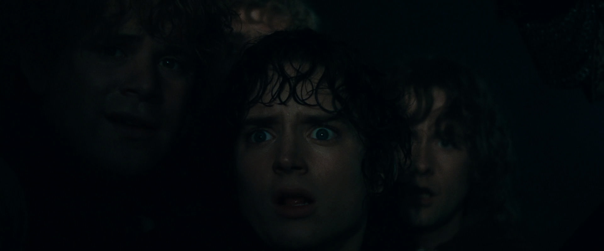 The Lord of the Rings: The Fellowship of the Ring (2001) screencap 14634
