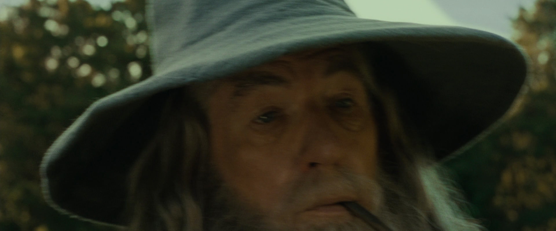 The Lord of the Rings: The Fellowship of the Ring (2001) screencap 1467