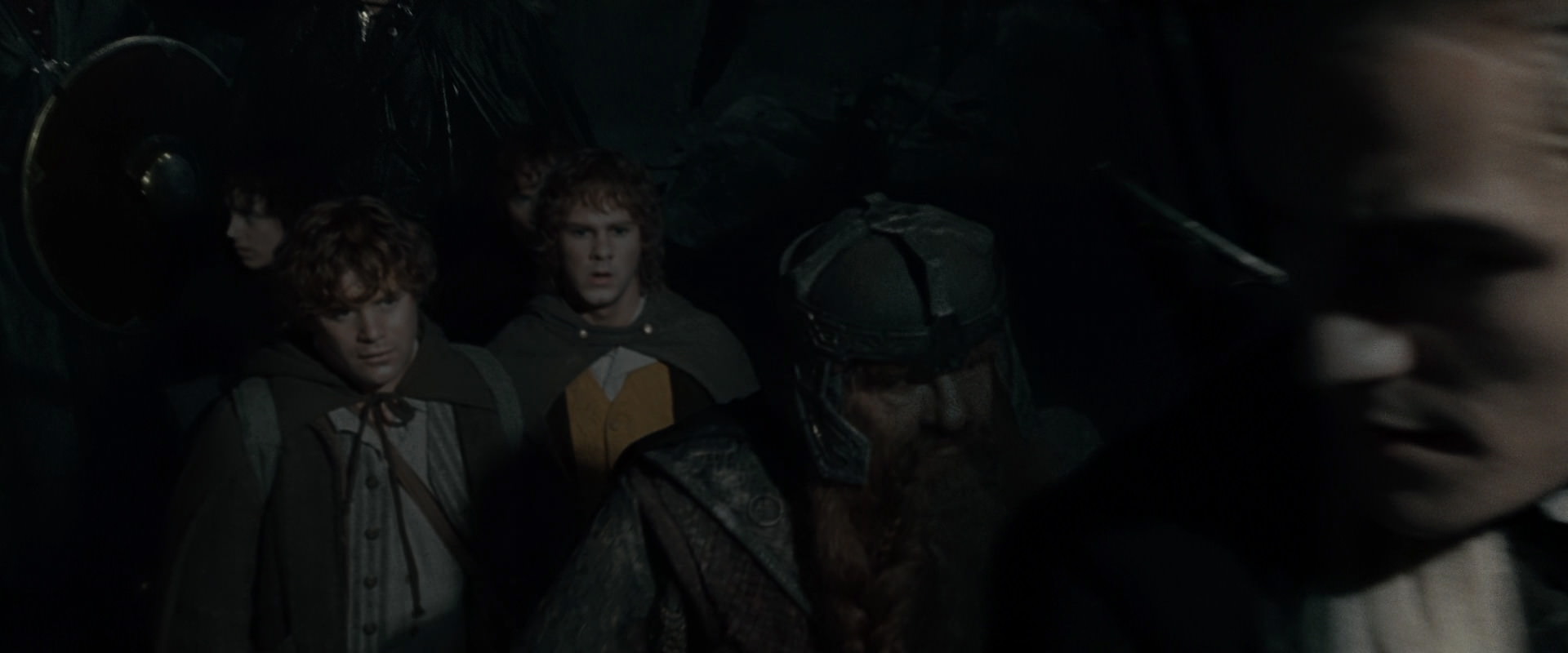 The Lord of the Rings: The Fellowship of the Ring (2001) HD screenshot 14681
