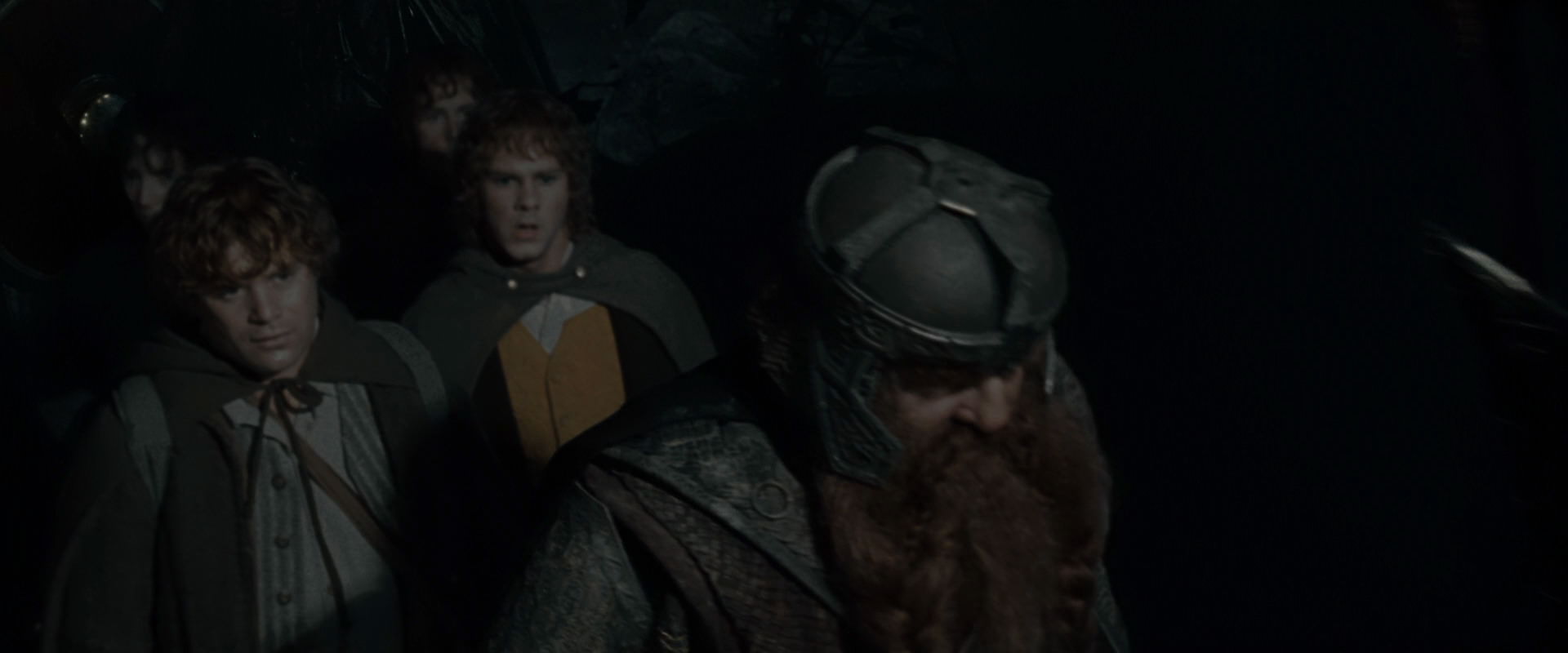 The Lord of the Rings: The Fellowship of the Ring (2001) screencap 14682