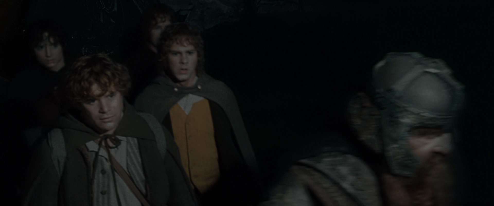 The Lord of the Rings: The Fellowship of the Ring (2001) movie still 14683