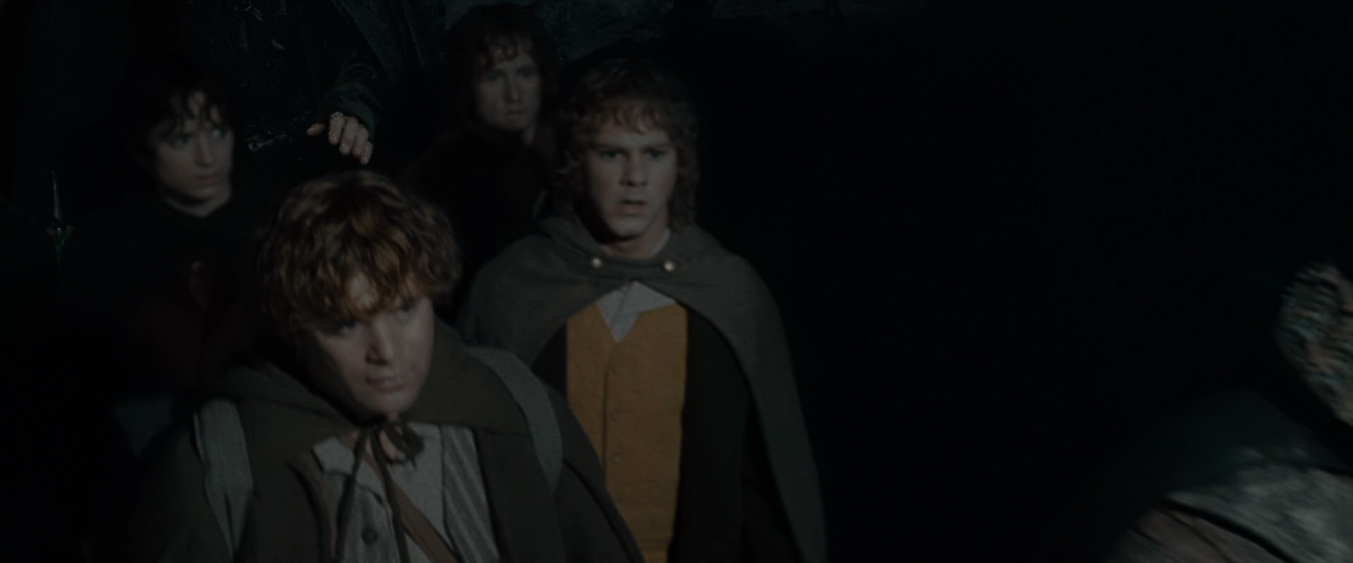 The Lord of the Rings: The Fellowship of the Ring (2001) HD screenshot 14684