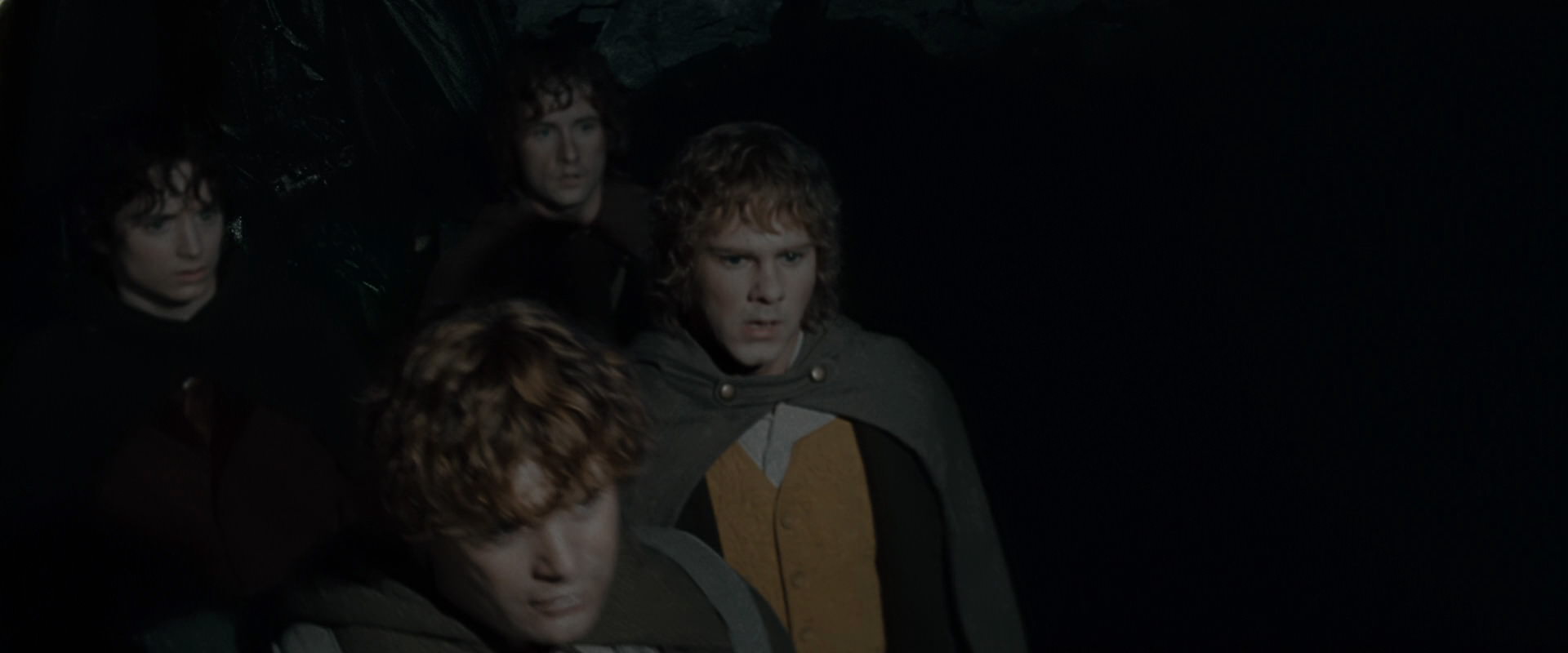 The Lord of the Rings: The Fellowship of the Ring (2001) screencap 14685