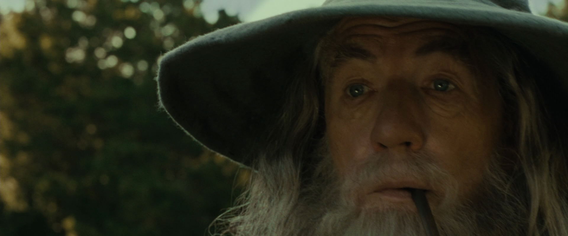 The Lord of the Rings: The Fellowship of the Ring (2001) HD screenshot 1469
