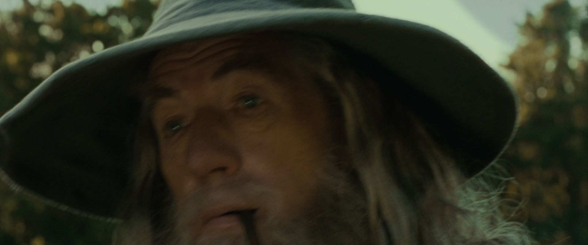 The Lord of the Rings: The Fellowship of the Ring (2001) screencap 1470