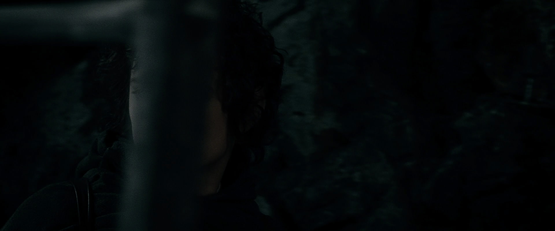 The Lord of the Rings: The Fellowship of the Ring (2001) screencap 14742