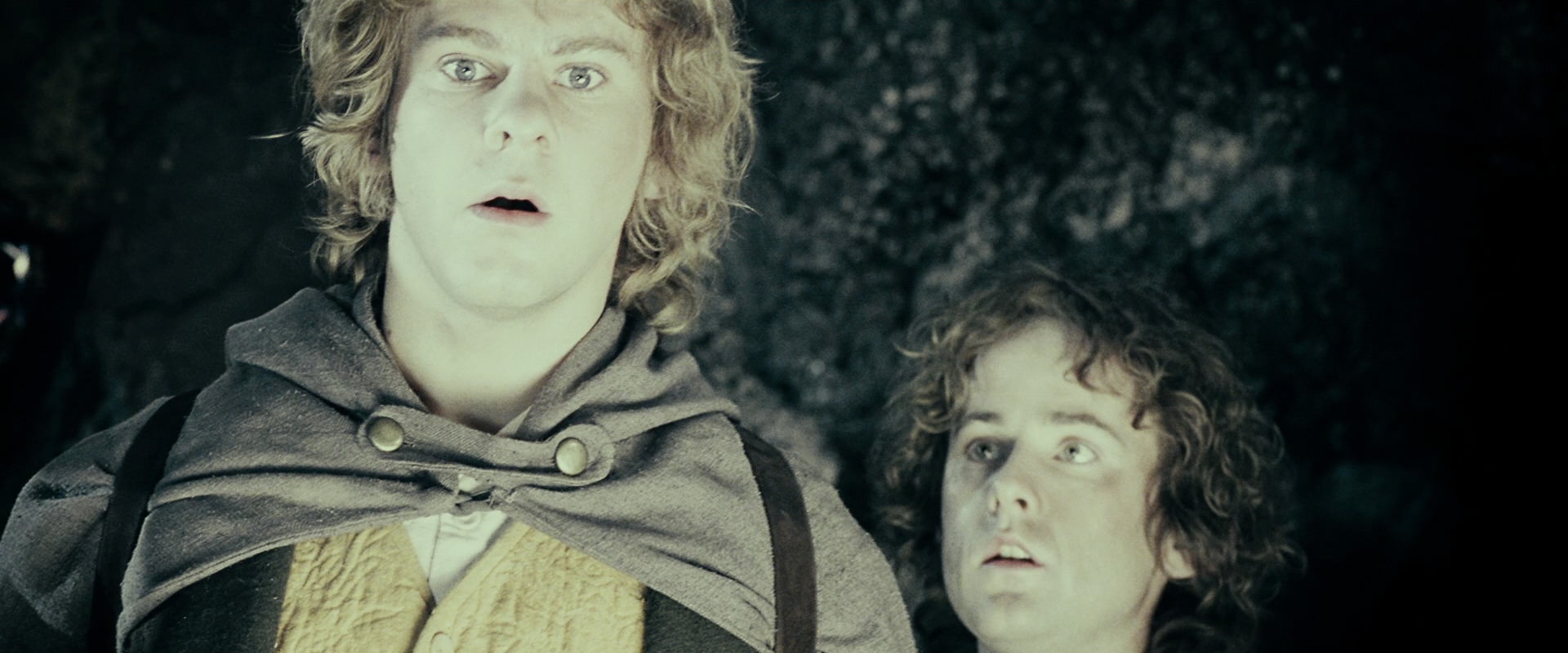 The Lord of the Rings: The Fellowship of the Ring (2001) HD screenshot 14852