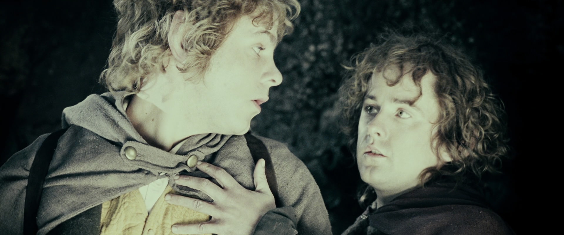The Lord of the Rings: The Fellowship of the Ring (2001) movie still 14854