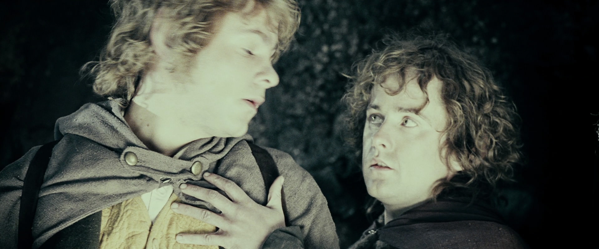 The Lord of the Rings: The Fellowship of the Ring (2001) HD screenshot 14855