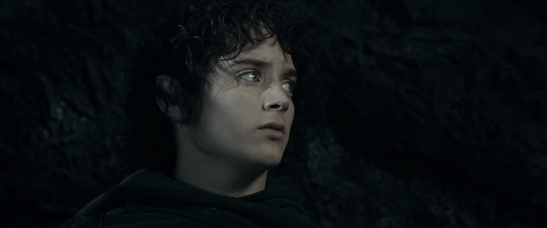 The Lord of the Rings: The Fellowship of the Ring (2001) HD screenshot 14861