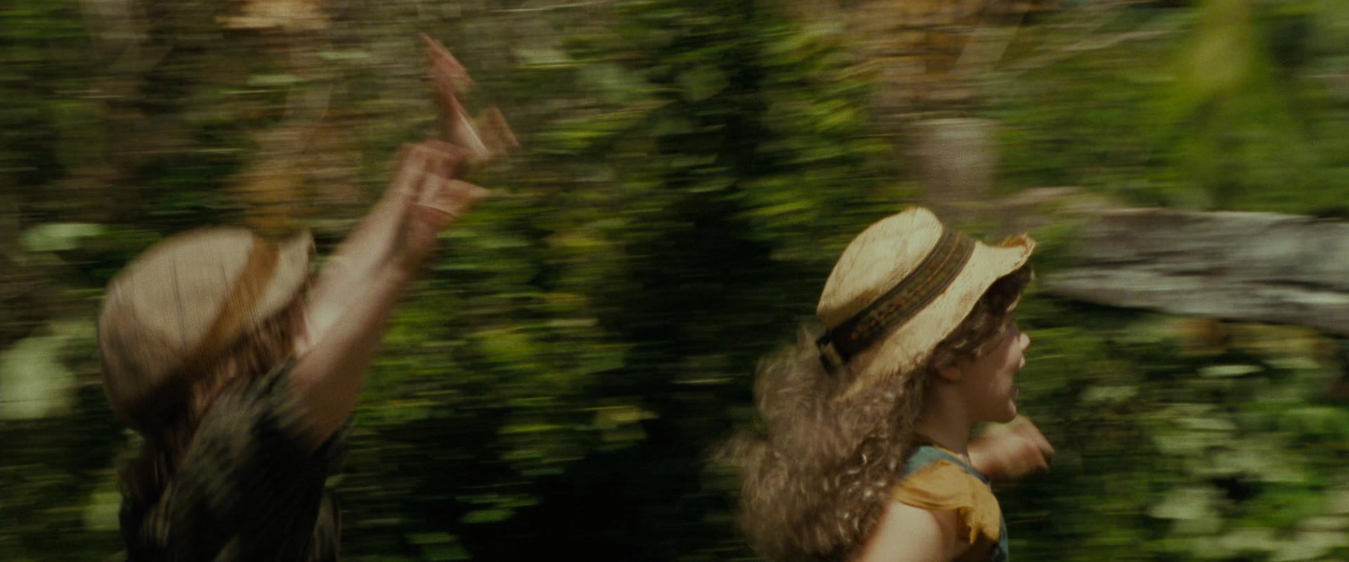 The Lord of the Rings: The Fellowship of the Ring (2001) HD screenshot 1487