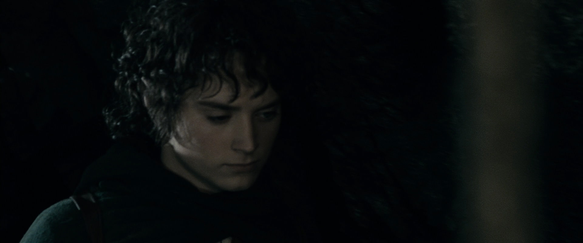 The Lord of the Rings: The Fellowship of the Ring (2001) movie still 14878