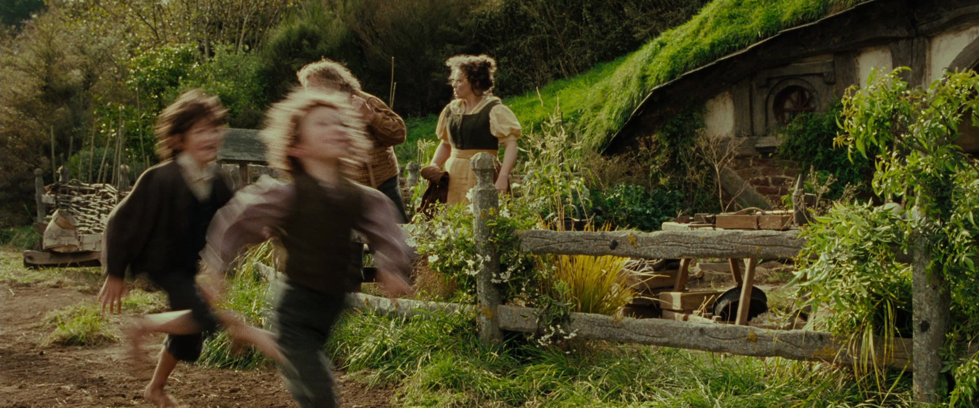 The Lord of the Rings: The Fellowship of the Ring (2001) screencap 1488