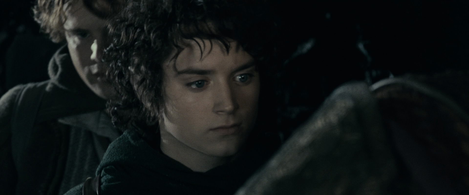 The Lord of the Rings: The Fellowship of the Ring (2001) screencap 14895
