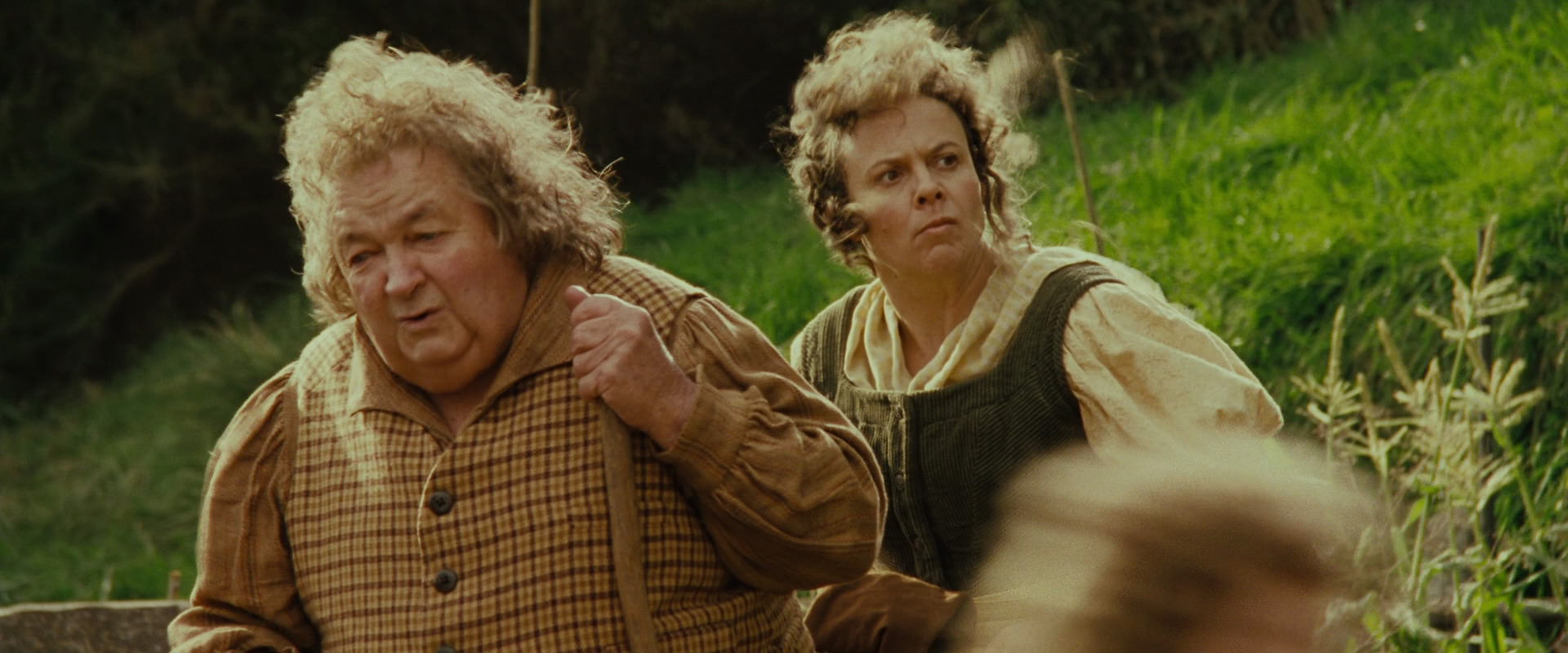The Lord of the Rings: The Fellowship of the Ring (2001) screencap 1491