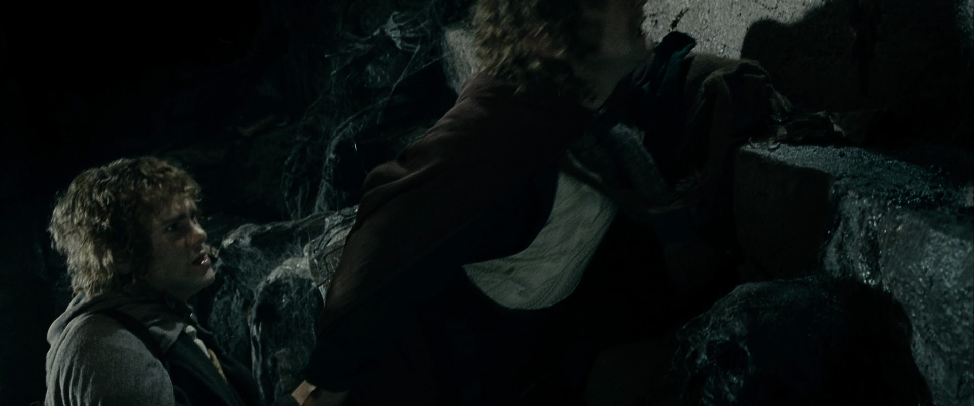 The Lord of the Rings: The Fellowship of the Ring (2001) screencap 14922