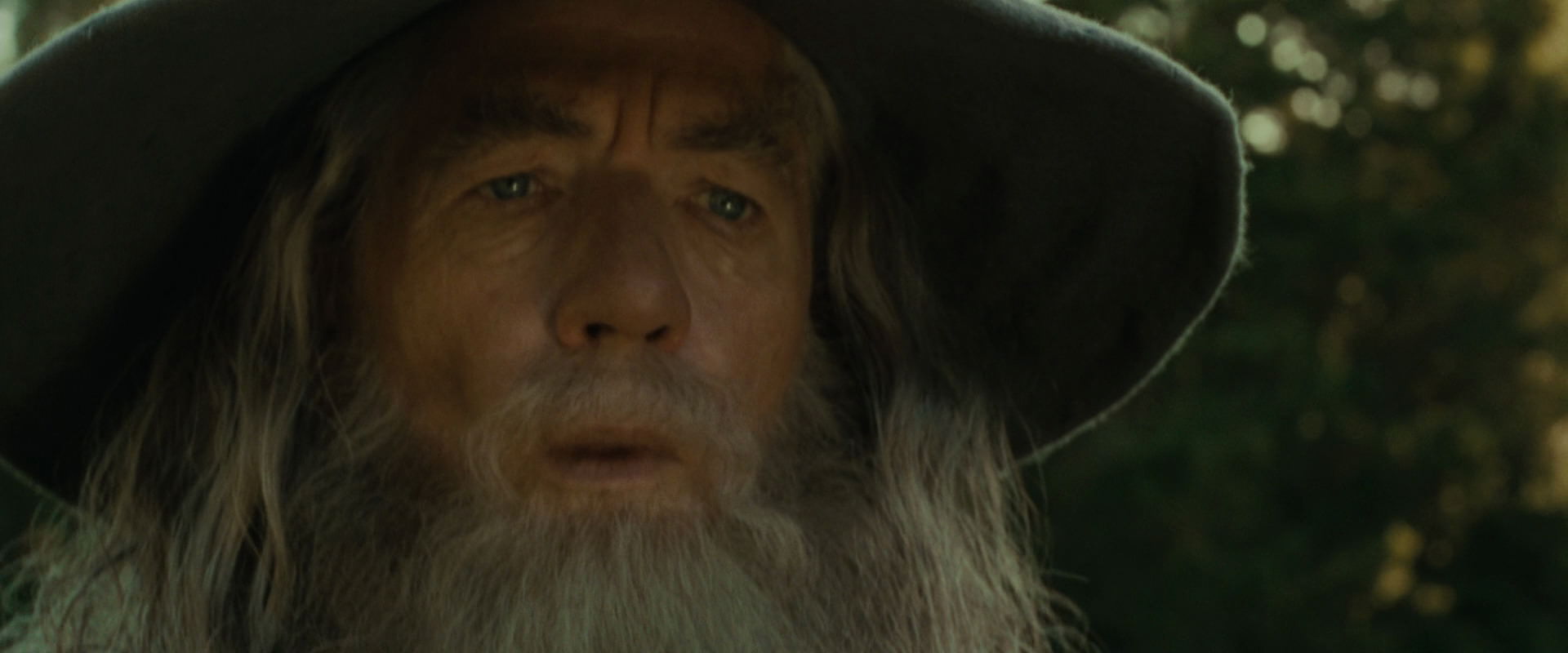 The Lord of the Rings: The Fellowship of the Ring (2001) screencap 1494