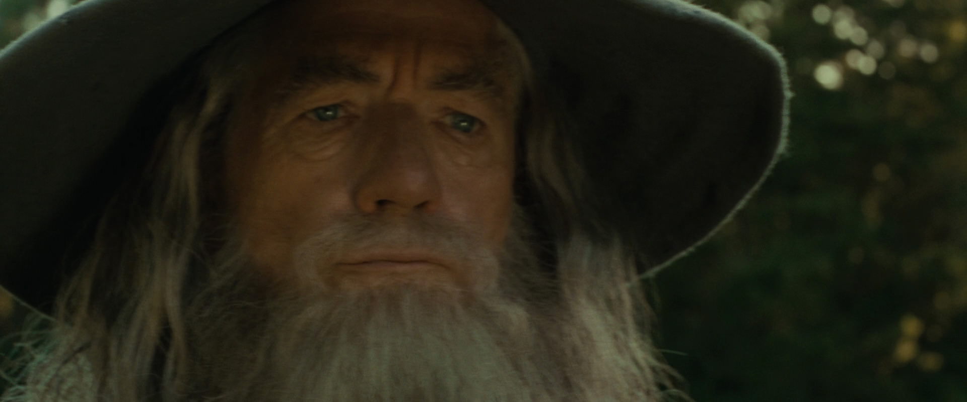 The Lord of the Rings: The Fellowship of the Ring (2001) movie still 1495