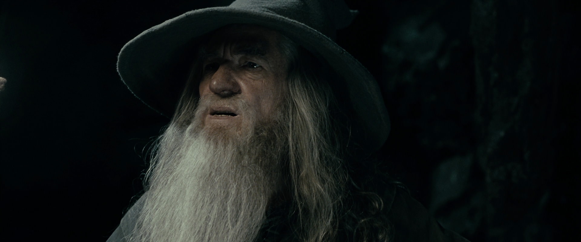 The Lord of the Rings: The Fellowship of the Ring (2001) screencap 14955