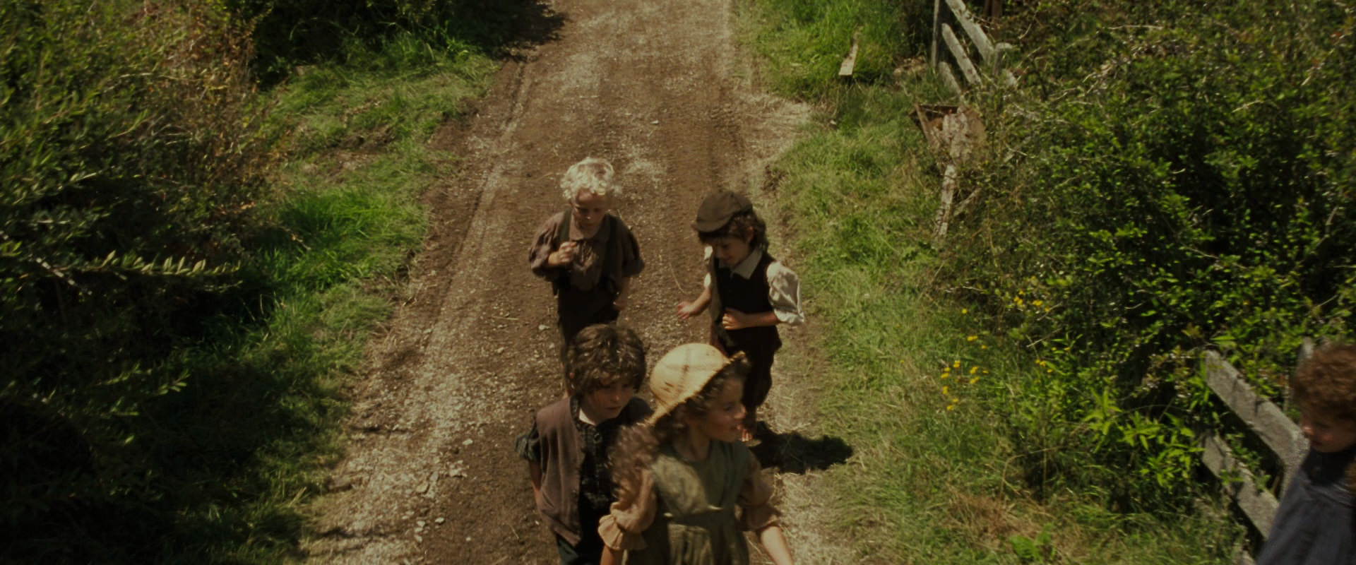 The Lord of the Rings: The Fellowship of the Ring (2001) HD screenshot 1496