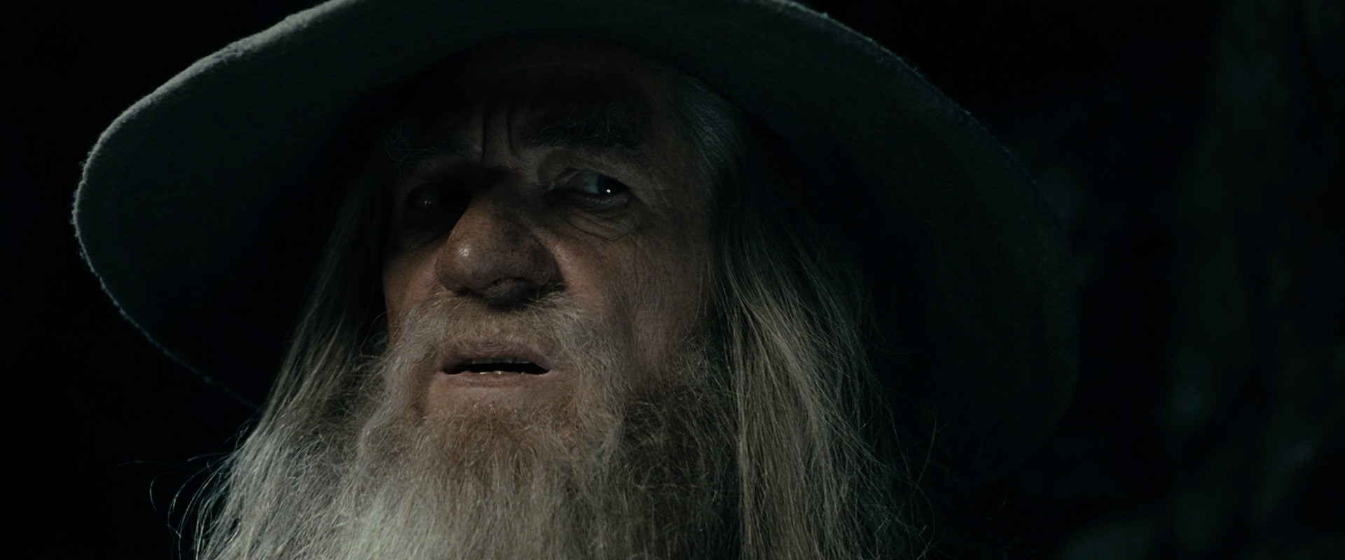 The Lord of the Rings: The Fellowship of the Ring (2001) HD screenshot 14960