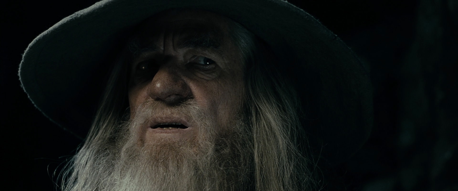 The Lord of the Rings: The Fellowship of the Ring (2001) screencap 14961