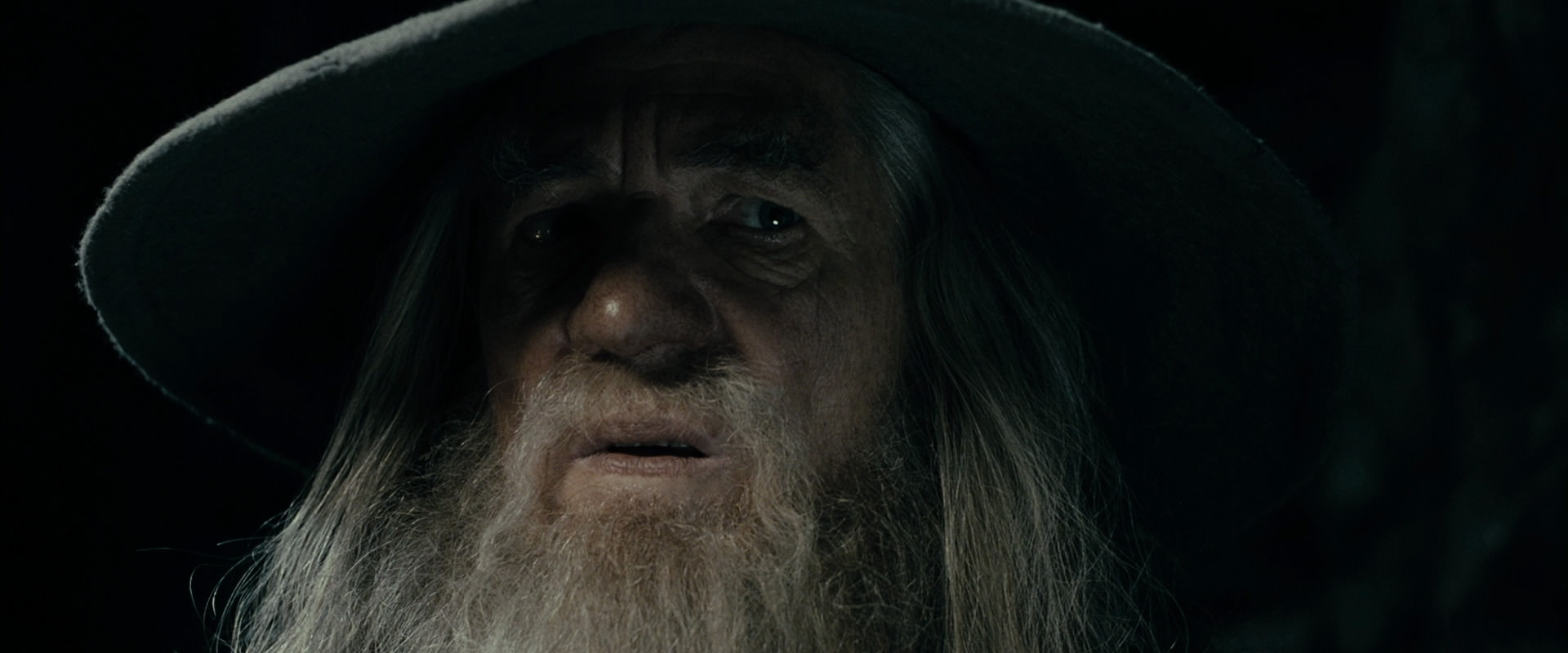 The Lord of the Rings: The Fellowship of the Ring (2001) screencap 14967