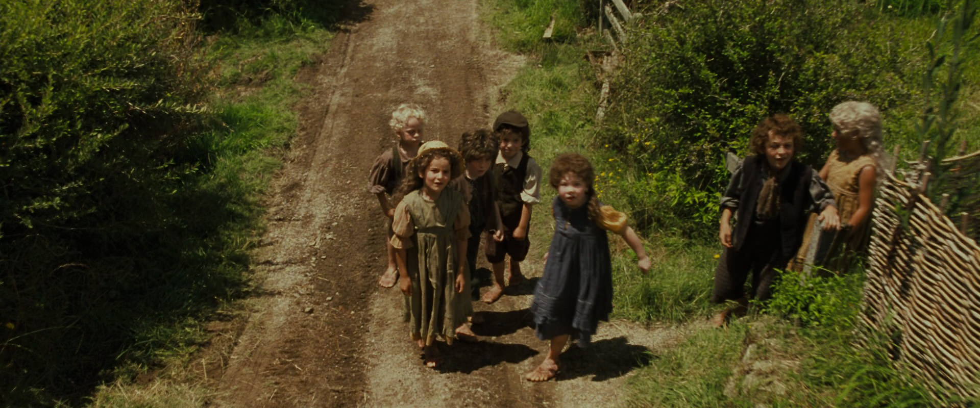 The Lord of the Rings: The Fellowship of the Ring (2001) HD screenshot 1499