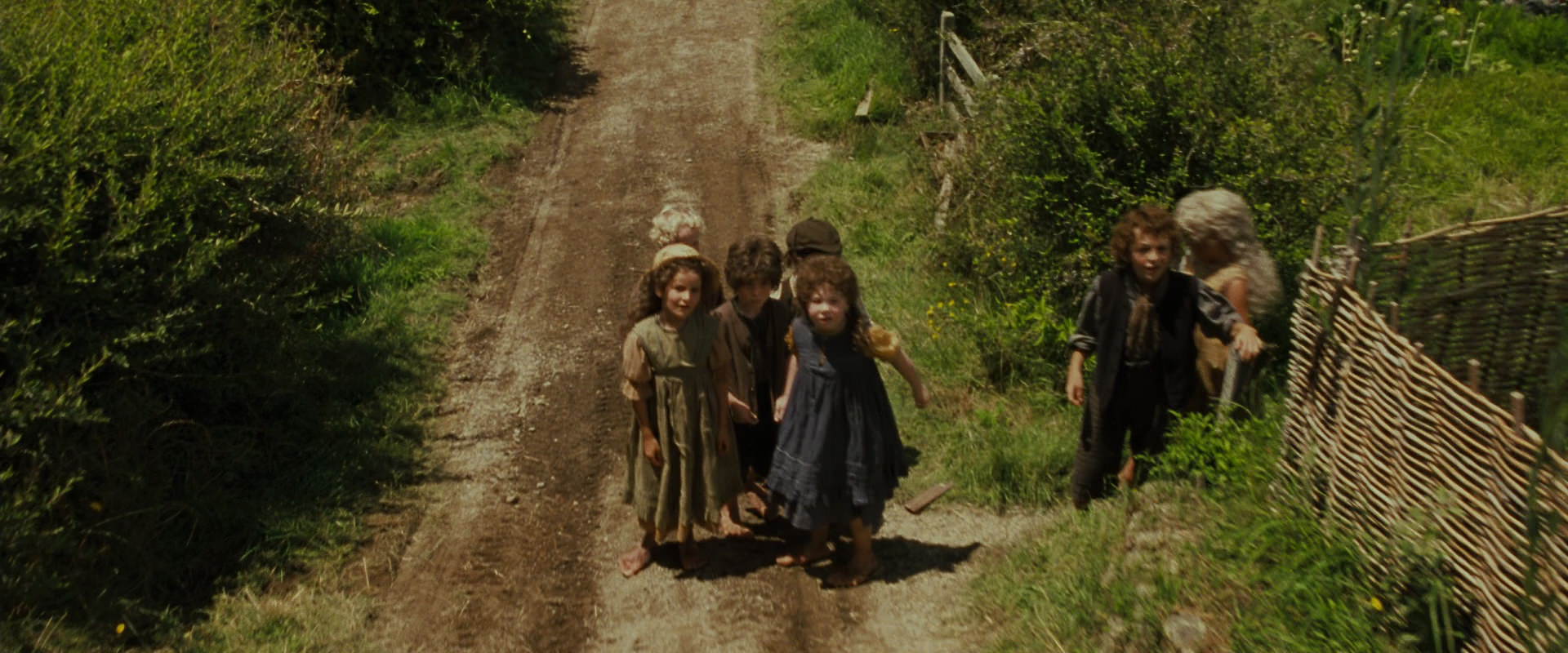 The Lord of the Rings: The Fellowship of the Ring (2001) screencap 1500