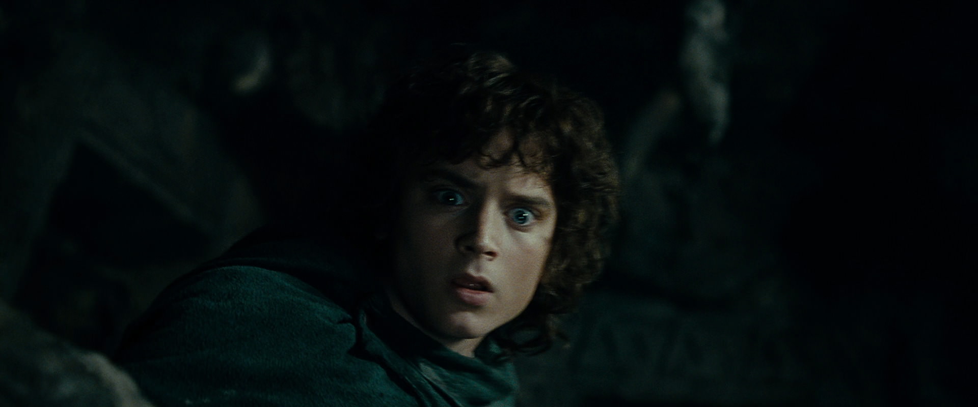 The Lord of the Rings: The Fellowship of the Ring (2001) HD screenshot 15005