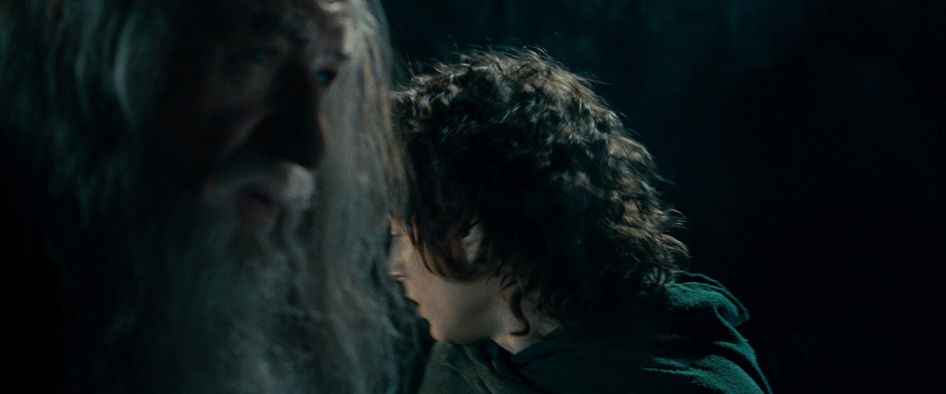 The Lord of the Rings: The Fellowship of the Ring (2001) movie still 15010
