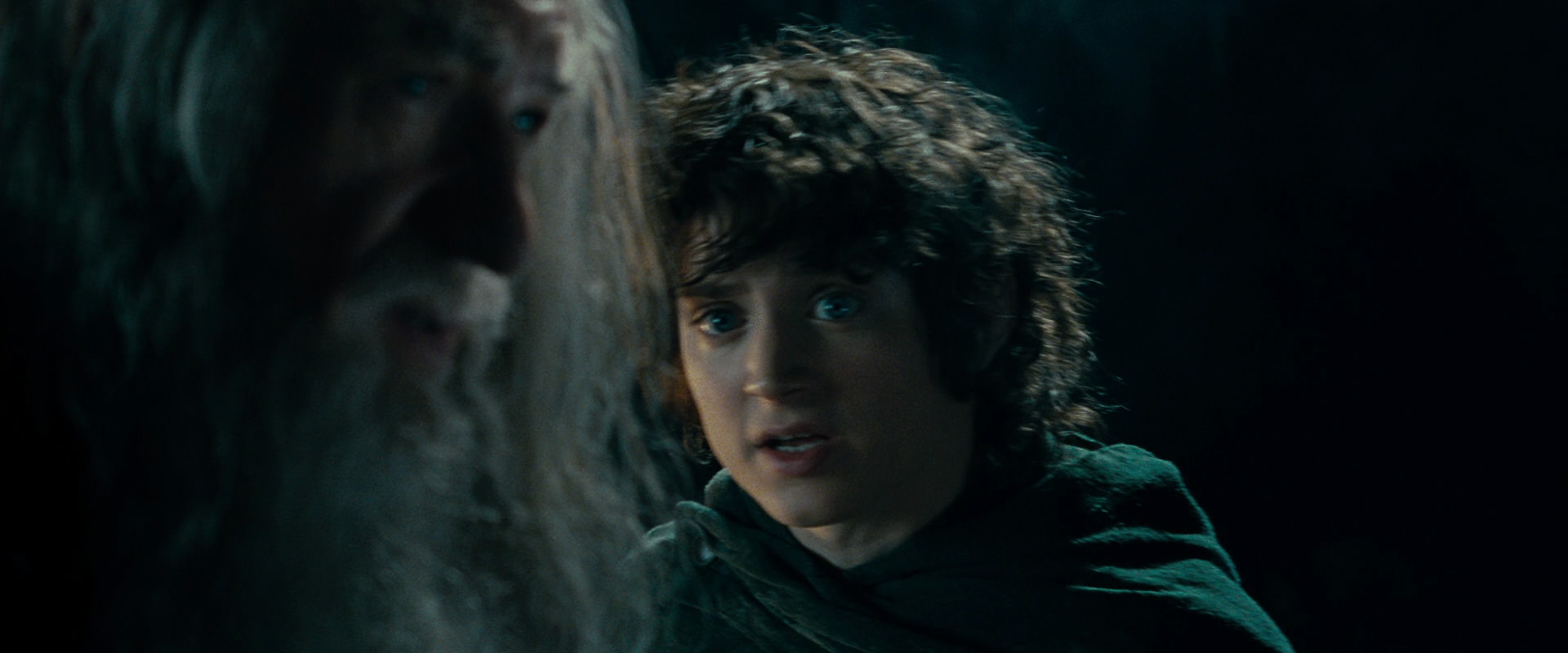 The Lord of the Rings: The Fellowship of the Ring (2001) HD screenshot 15011
