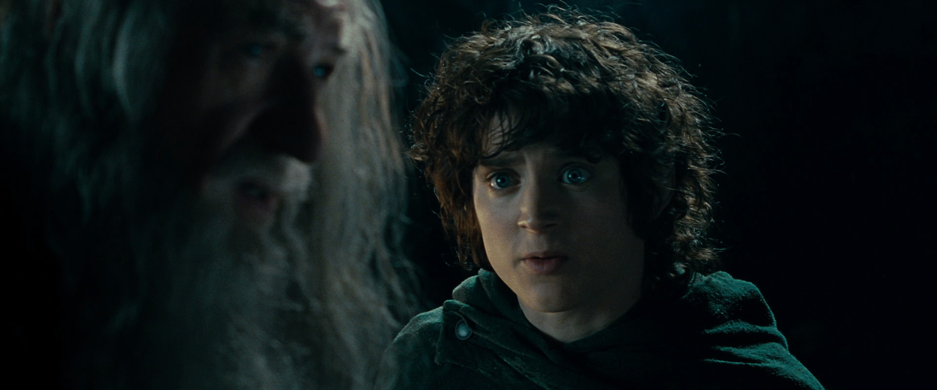 The Lord of the Rings: The Fellowship of the Ring (2001) screencap 15012