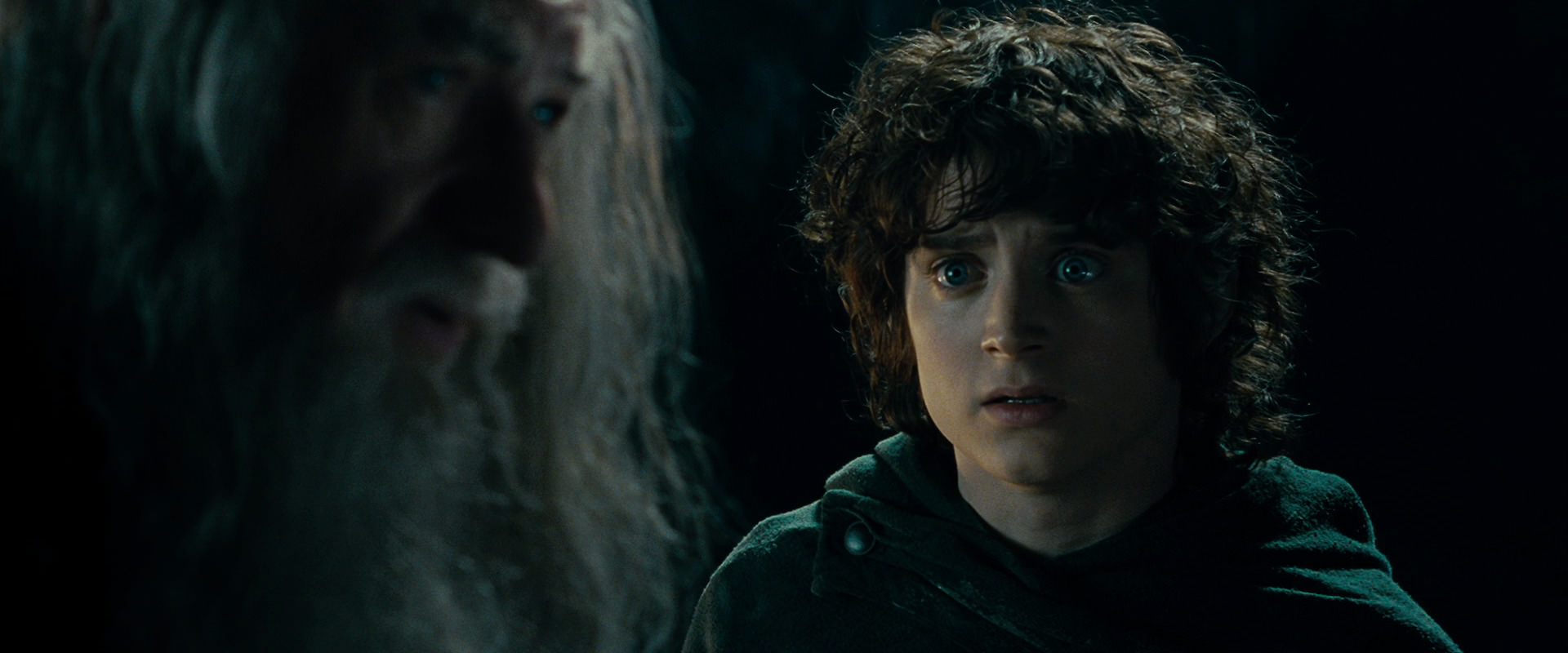 The Lord of the Rings: The Fellowship of the Ring (2001) screencap 15015