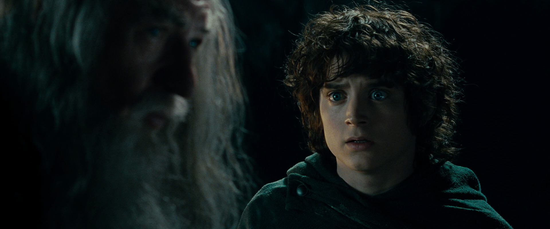 The Lord of the Rings: The Fellowship of the Ring (2001) HD screenshot 15017