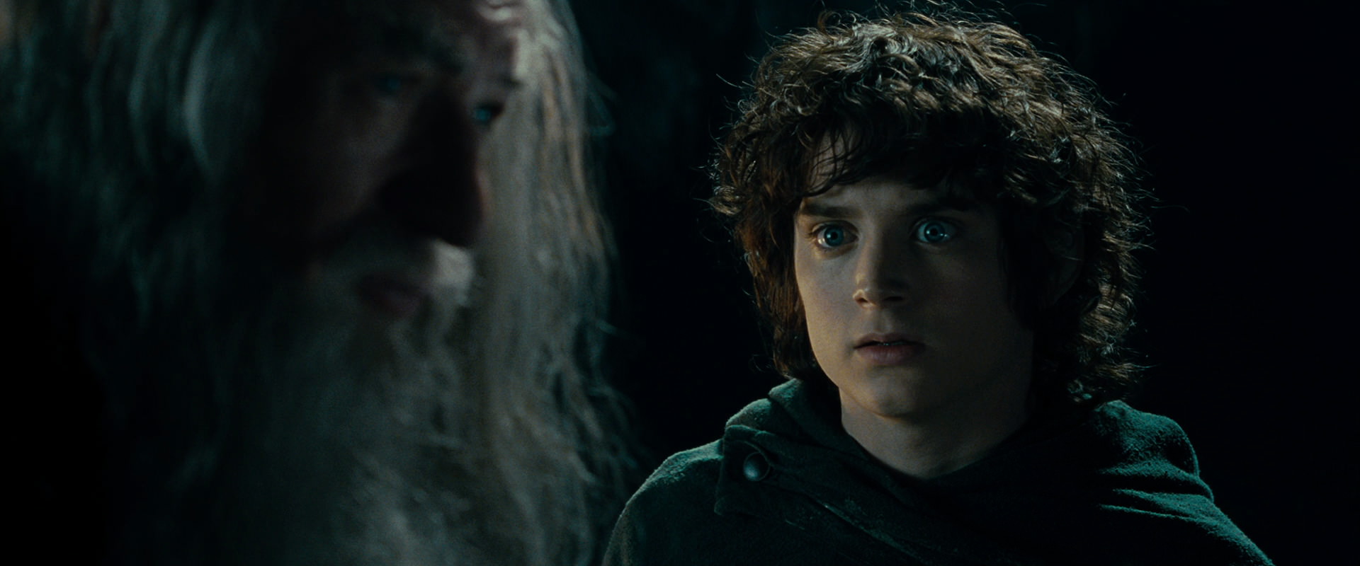 The Lord of the Rings: The Fellowship of the Ring (2001) screencap 15018
