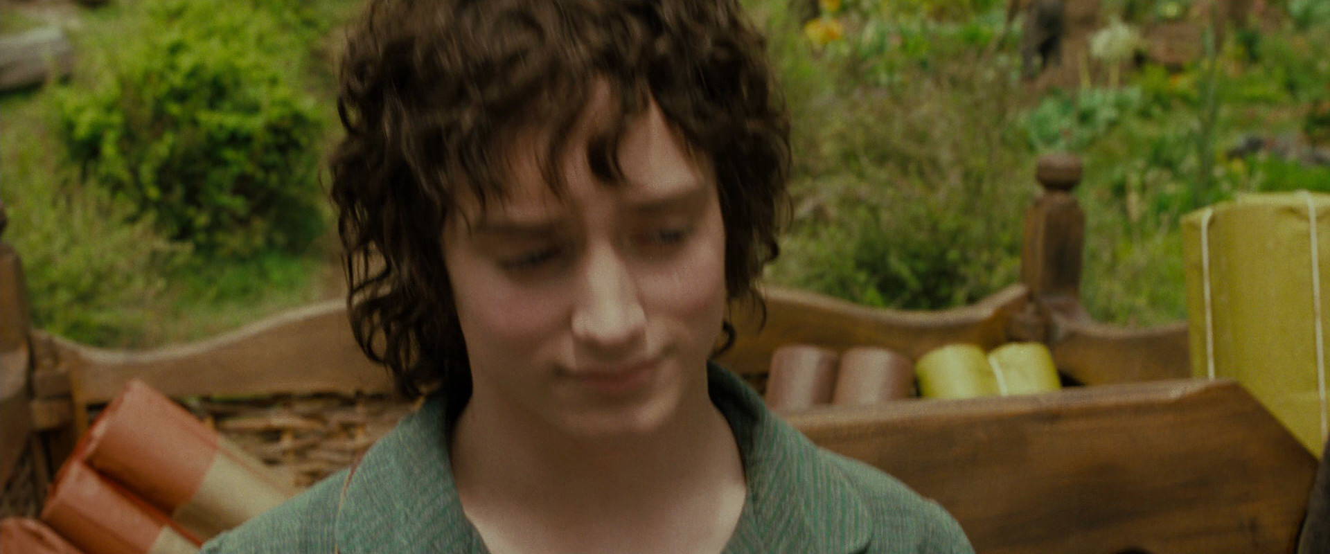 The Lord of the Rings: The Fellowship of the Ring (2001) HD screenshot 1502