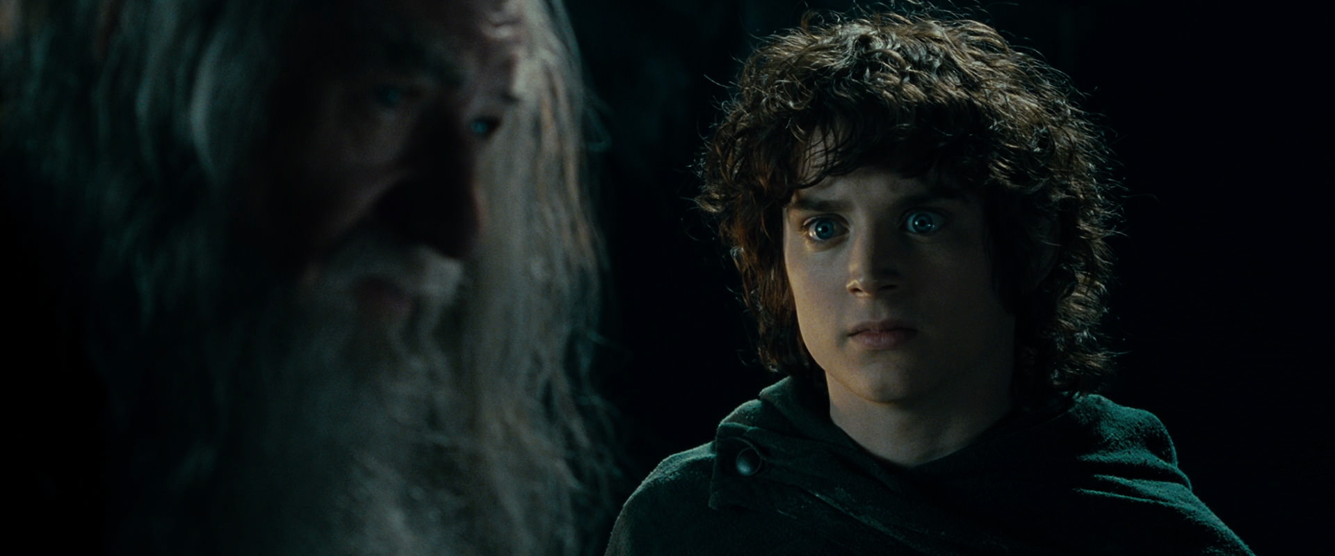 The Lord of the Rings: The Fellowship of the Ring (2001) screencap 15021