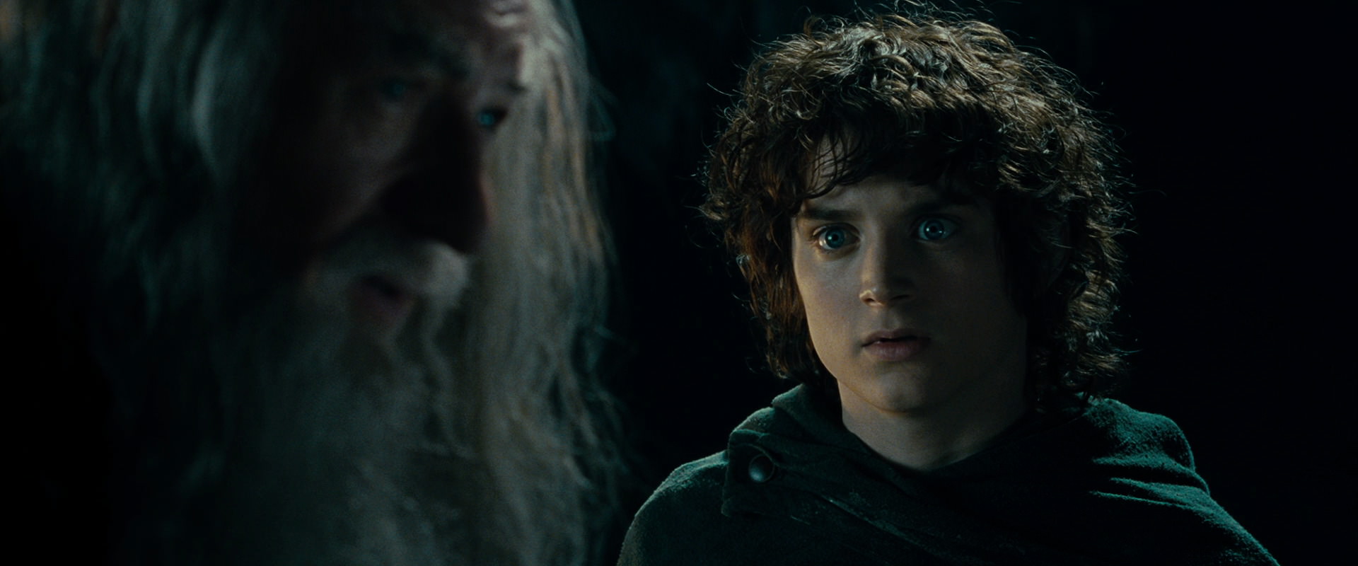 The Lord of the Rings: The Fellowship of the Ring (2001) screencap 15024