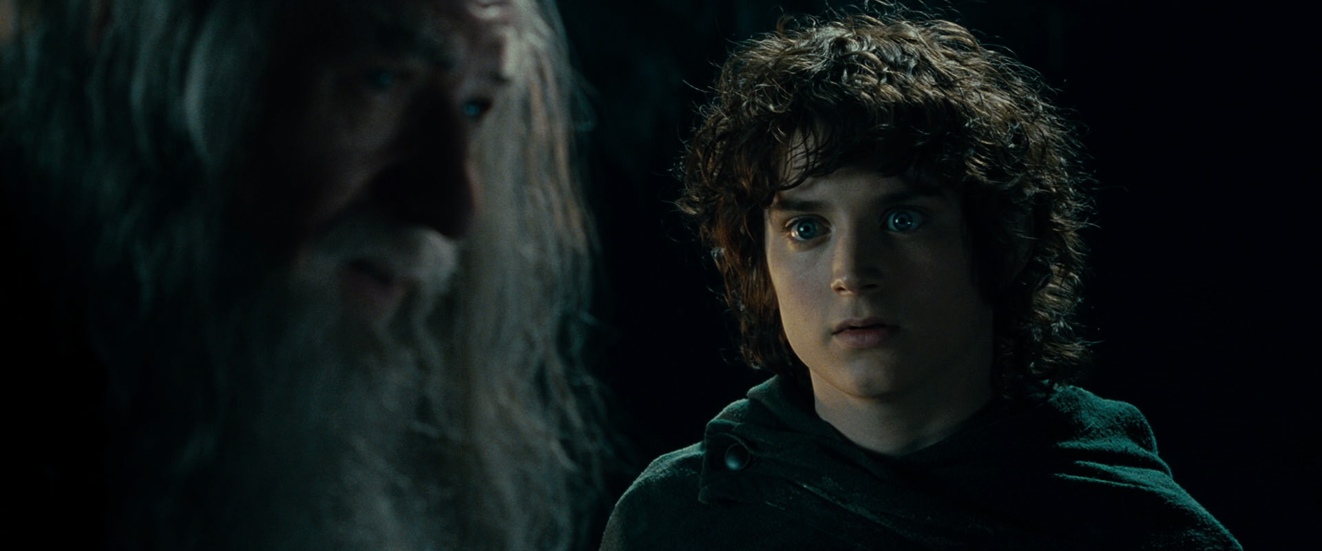 The Lord of the Rings: The Fellowship of the Ring (2001) HD screenshot 15026