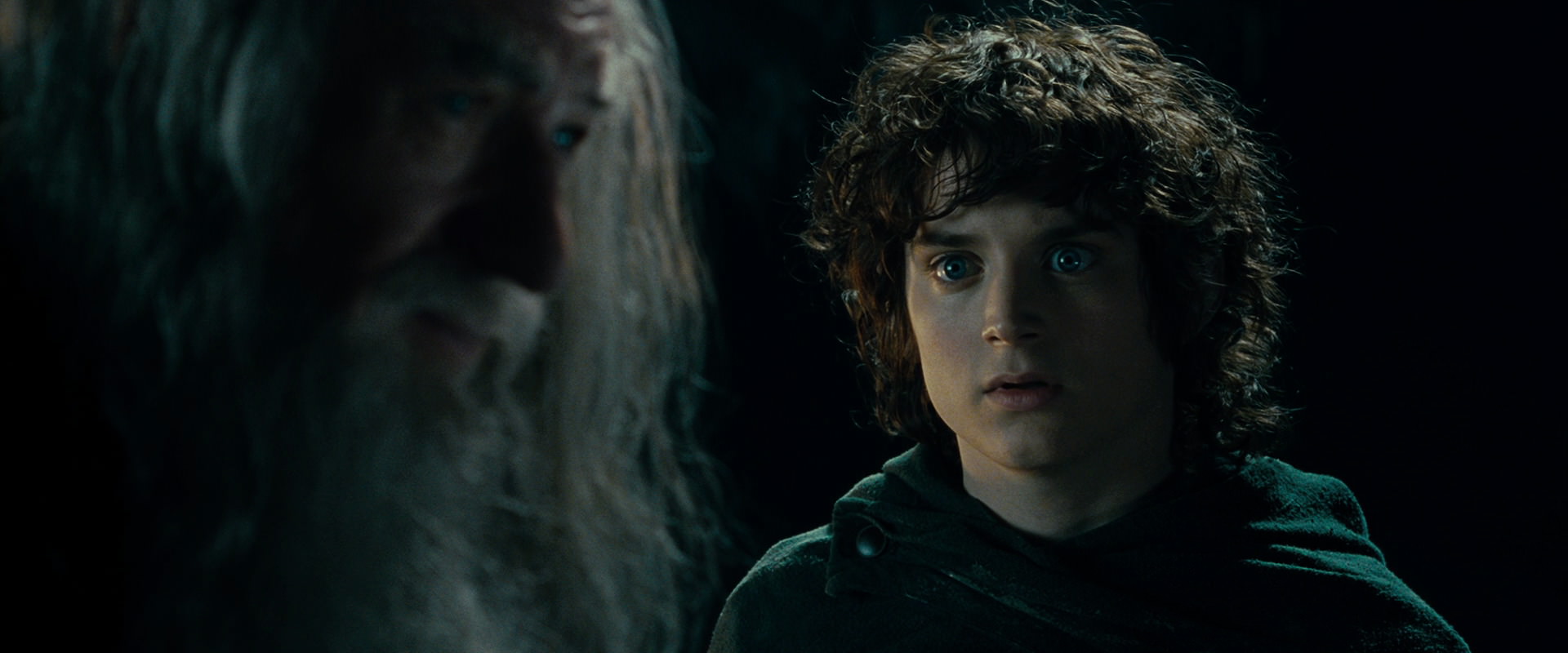 The Lord of the Rings: The Fellowship of the Ring (2001) screencap 15027
