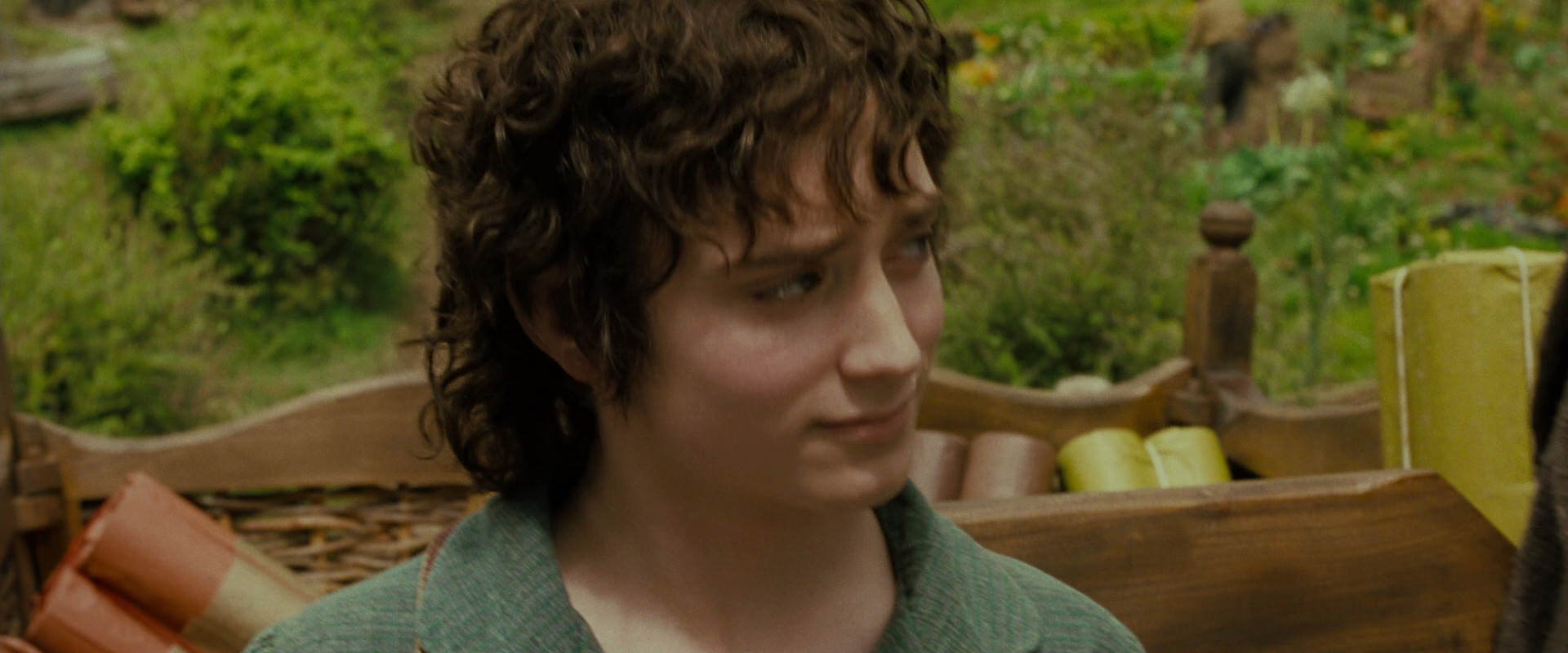 The Lord of the Rings: The Fellowship of the Ring (2001) screencap 1503