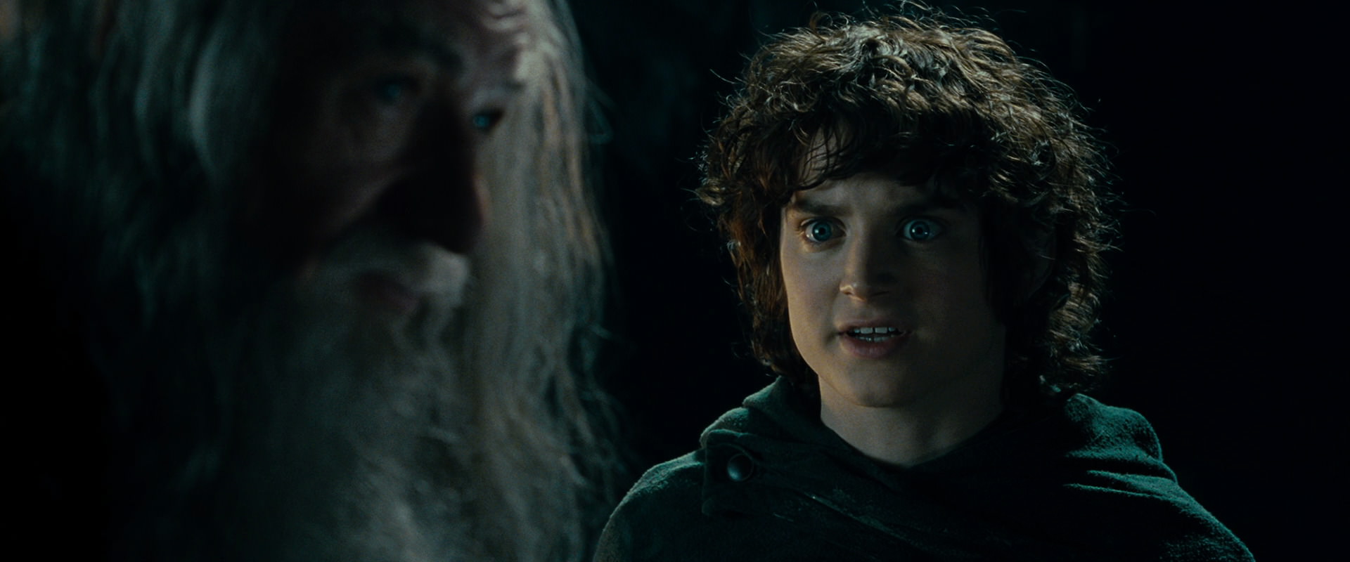 The Lord of the Rings: The Fellowship of the Ring (2001) screencap 15030