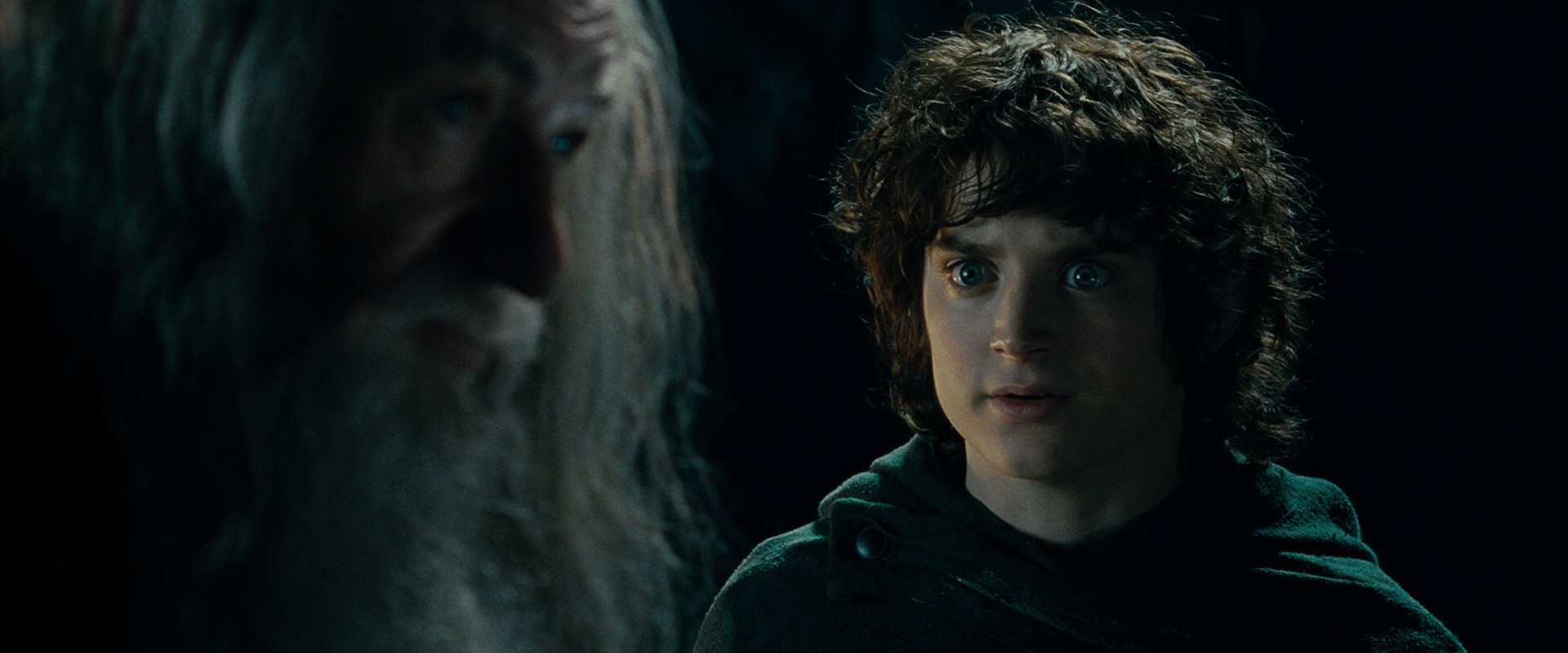 The Lord of the Rings: The Fellowship of the Ring (2001) HD screenshot 15032