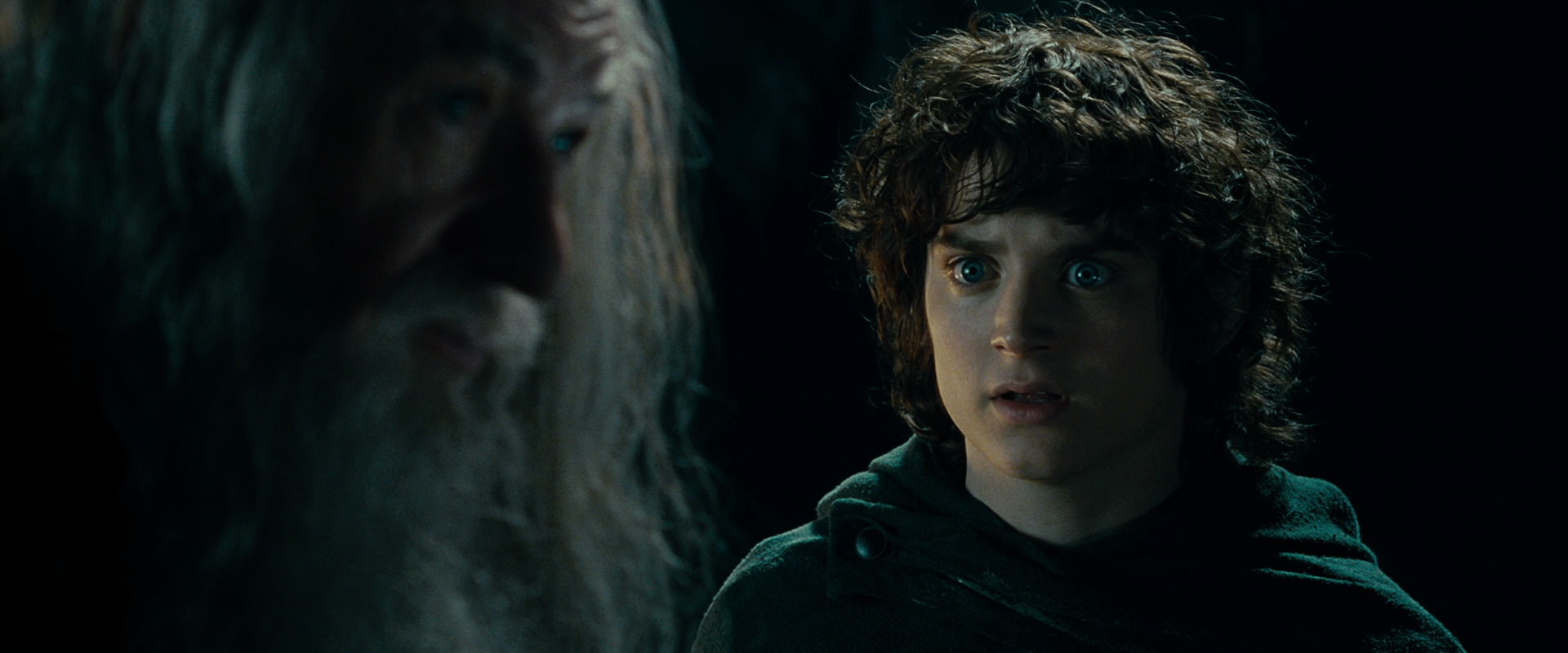 The Lord of the Rings: The Fellowship of the Ring (2001) screencap 15033